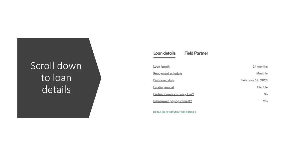 scroll down to loan details
