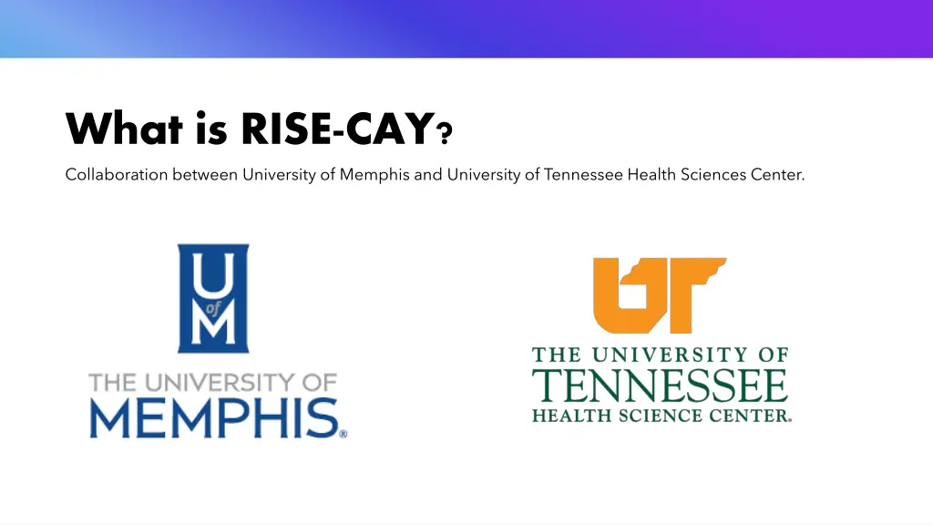 what is rise cay collaboration between university