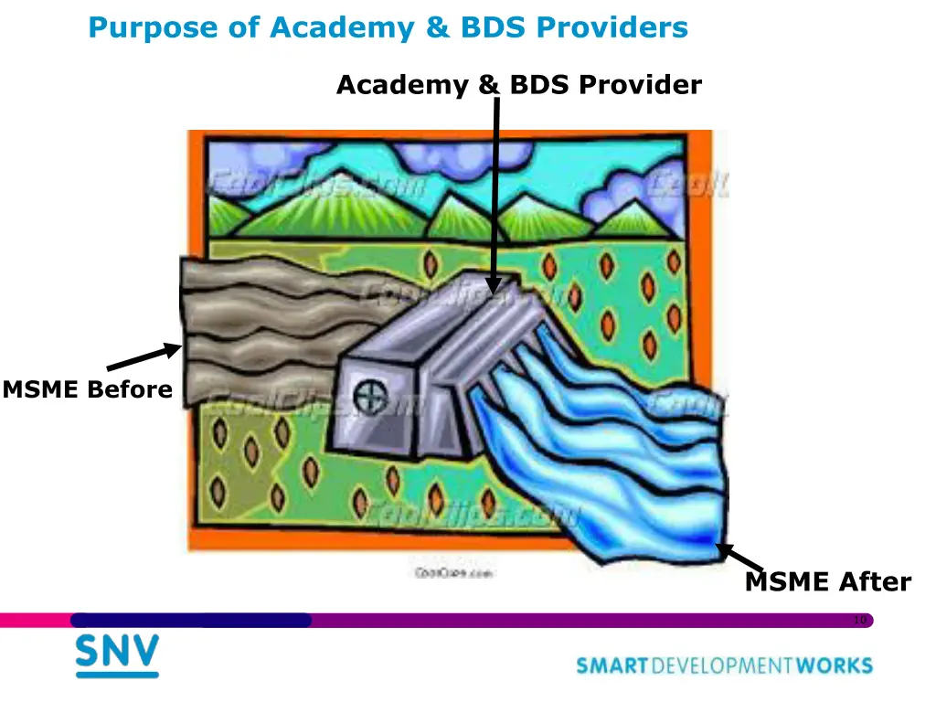 purpose of academy bds providers