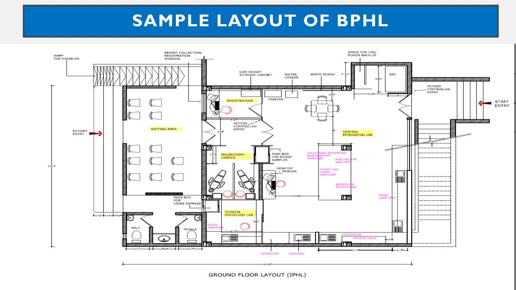 sample layout of bphl