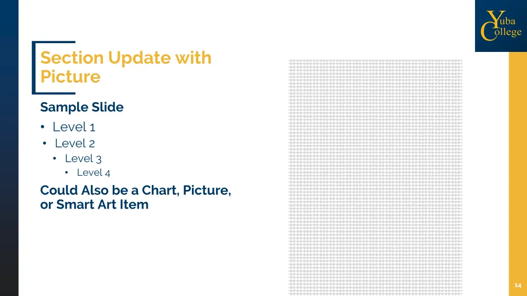 section update with picture 1