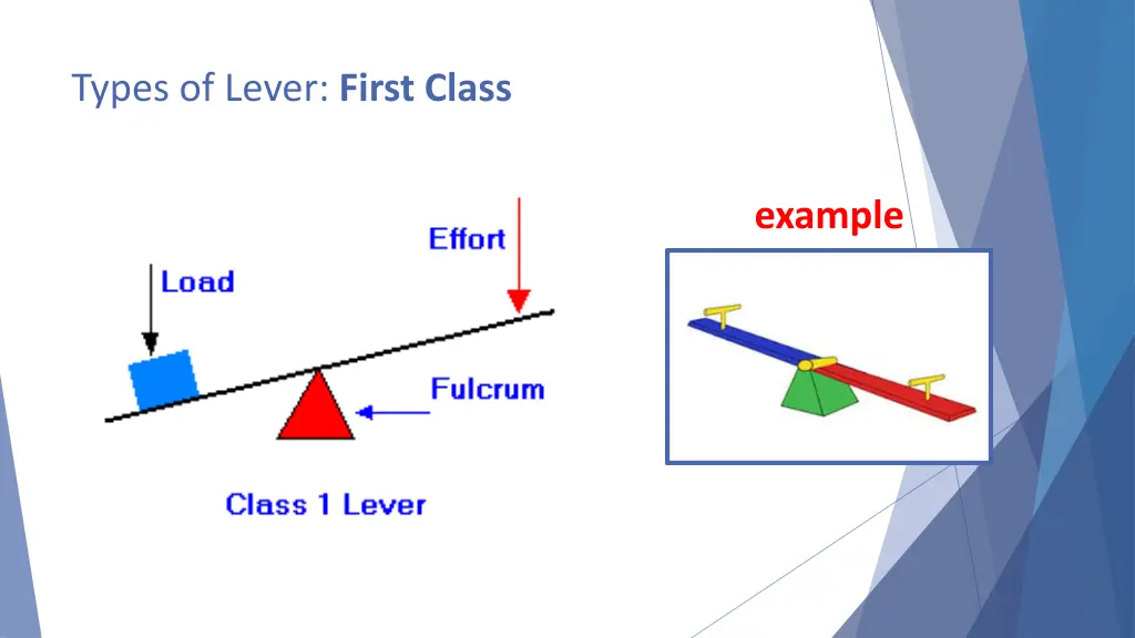 types of lever first class