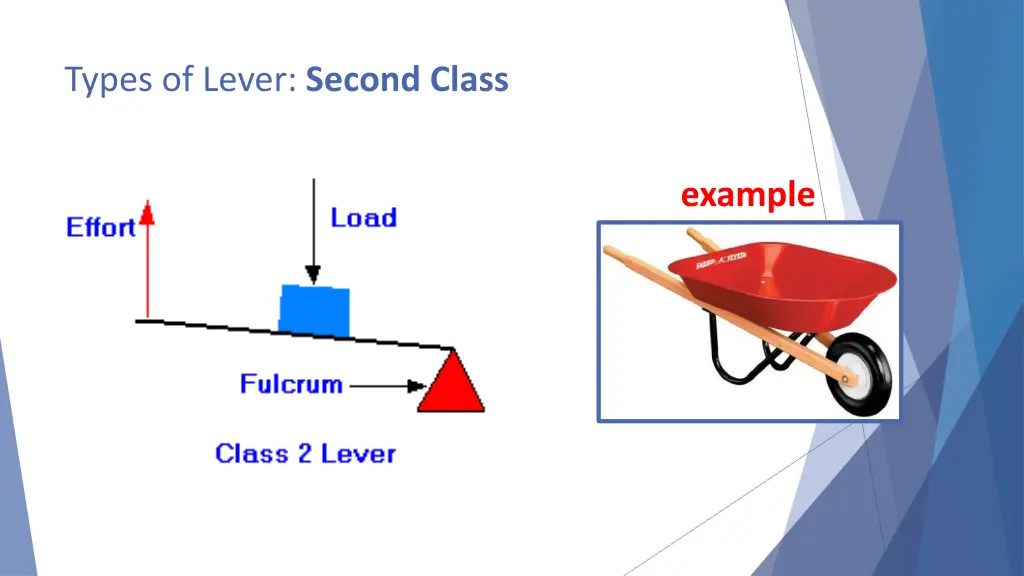 types of lever second class