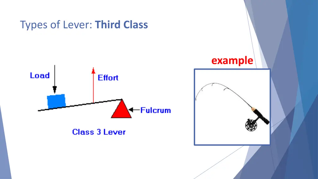 types of lever third class