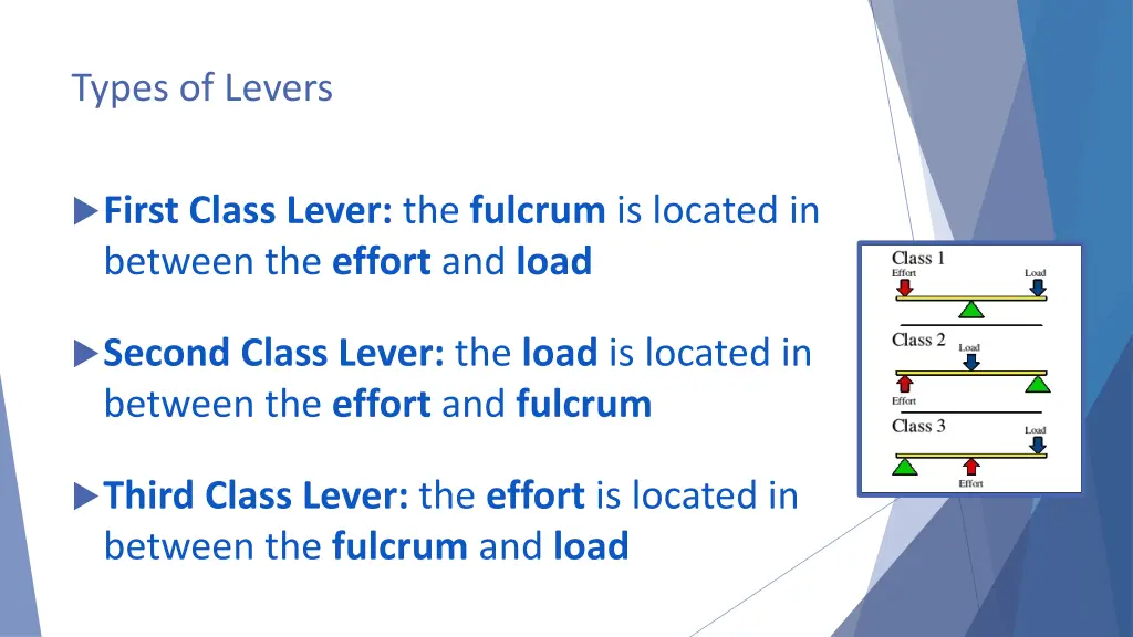 types of levers