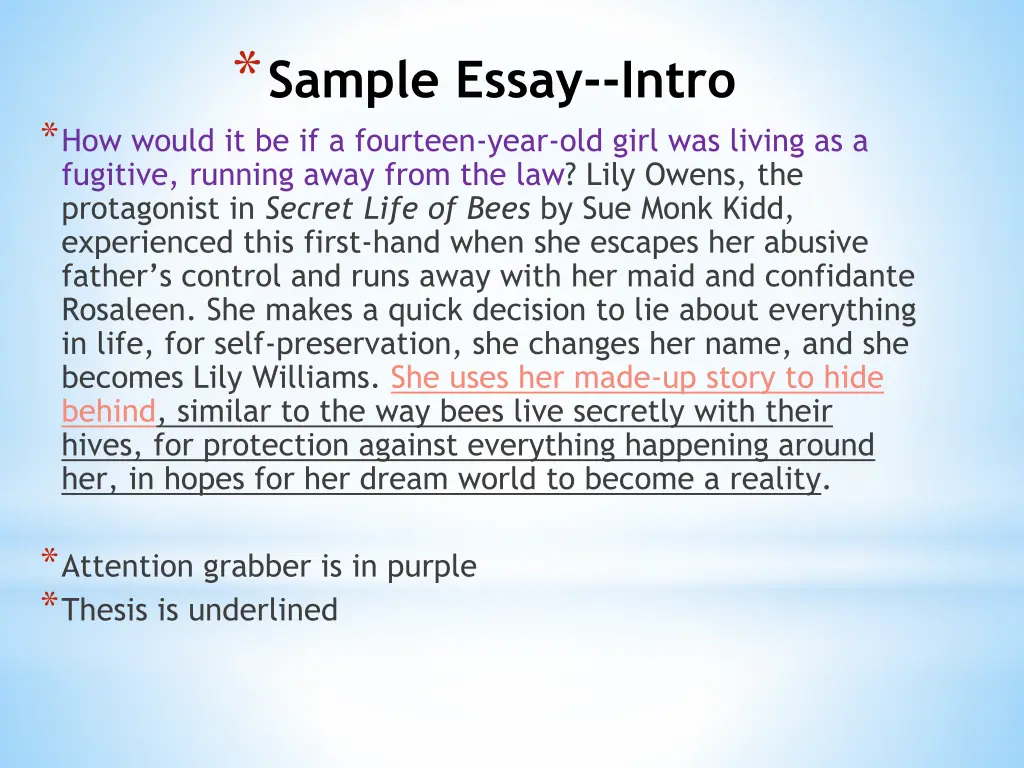 sample essay intro how would it be if a fourteen