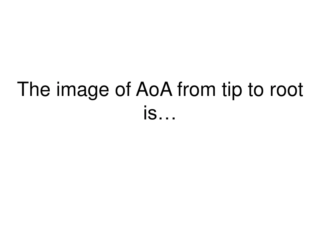 the image of aoa from tip to root is