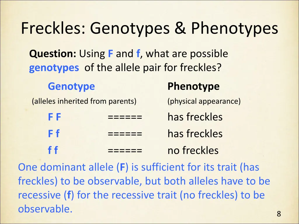 freckles genotypes phenotypes