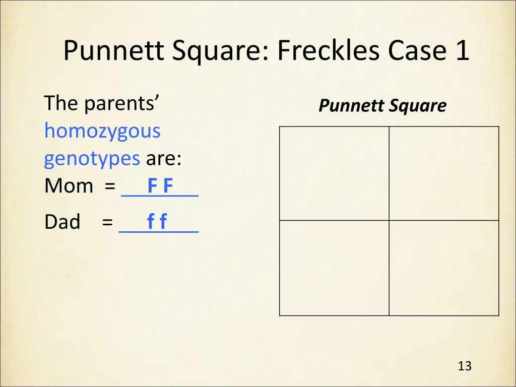 punnett square freckles case 1 1