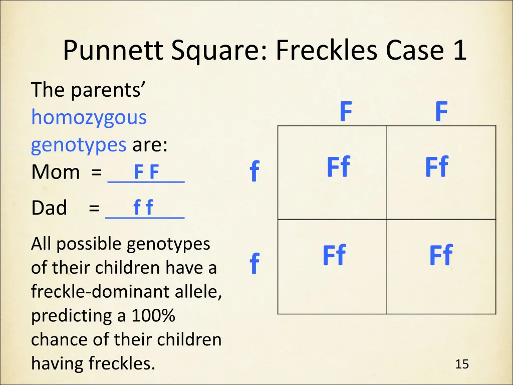 punnett square freckles case 1 3