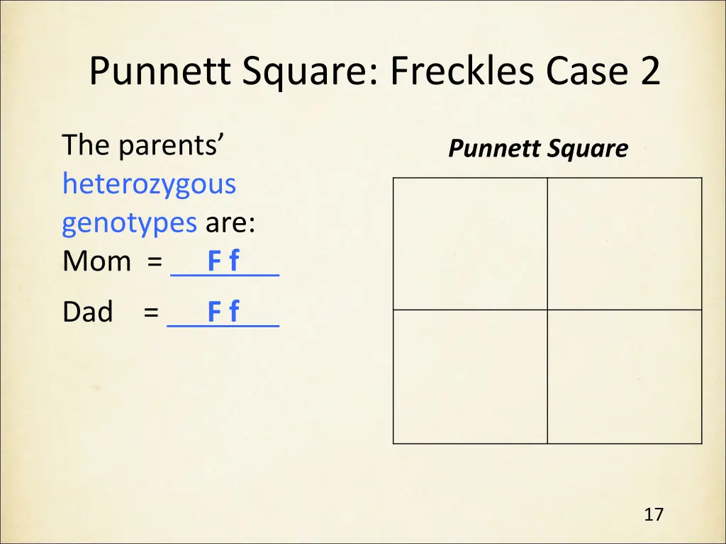 punnett square freckles case 2 1