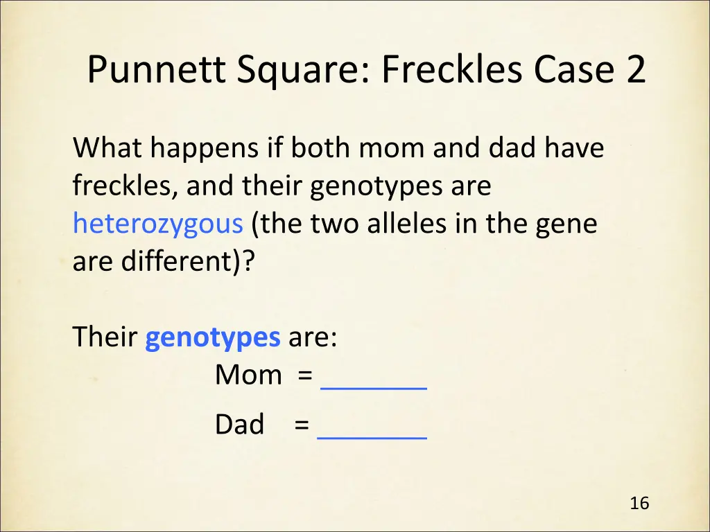 punnett square freckles case 2