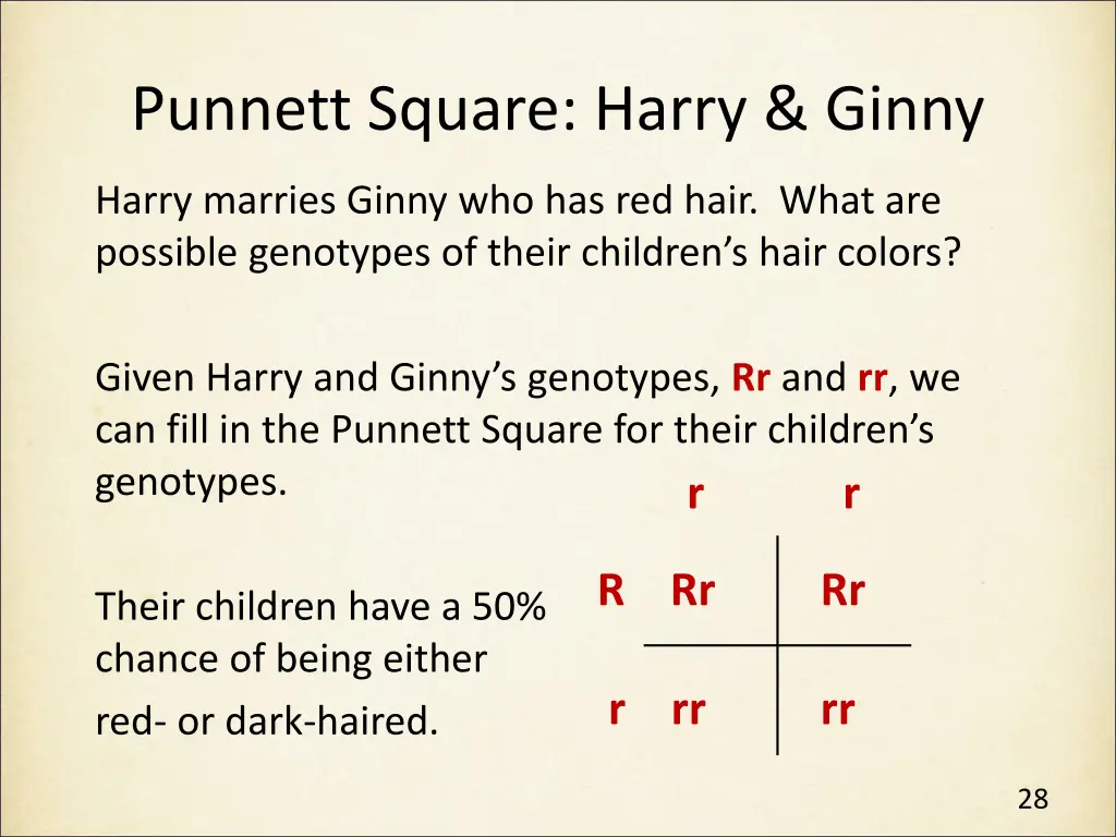 punnett square harry ginny 1