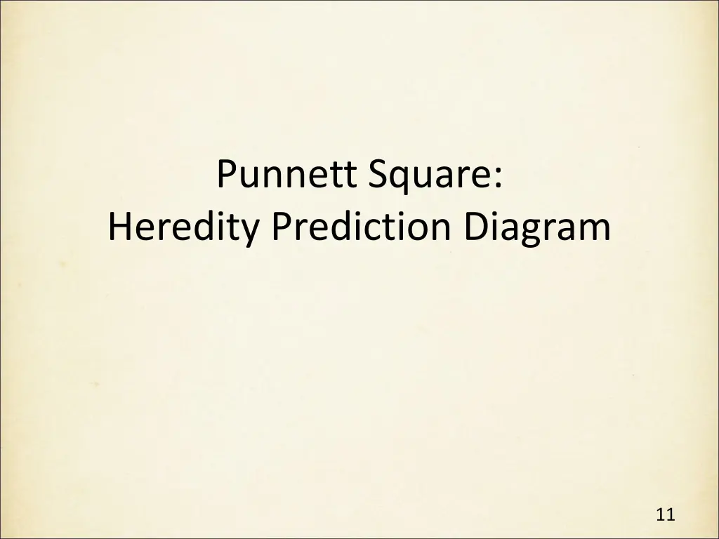 punnett square heredity prediction diagram