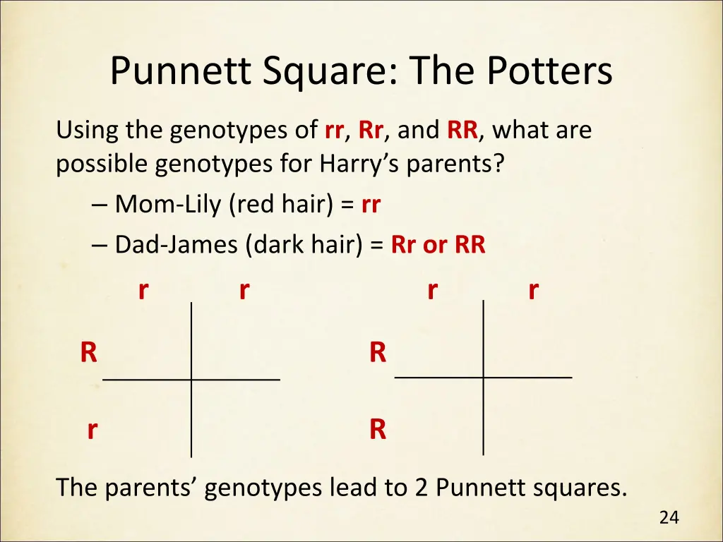 punnett square the potters 2