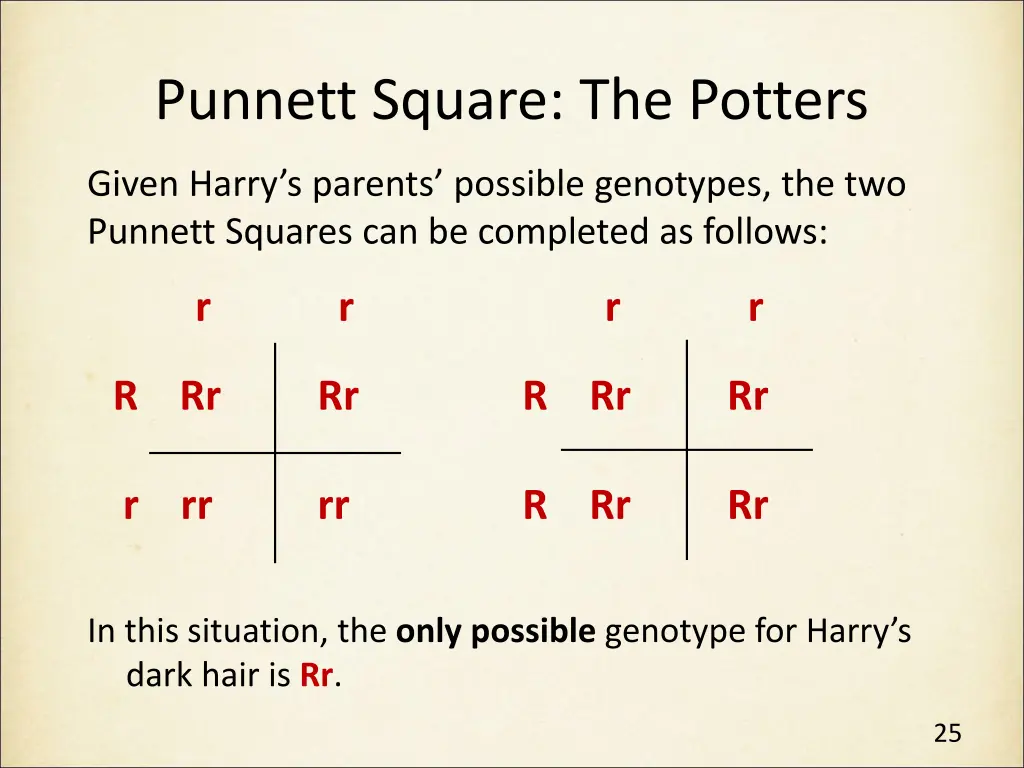 punnett square the potters 3