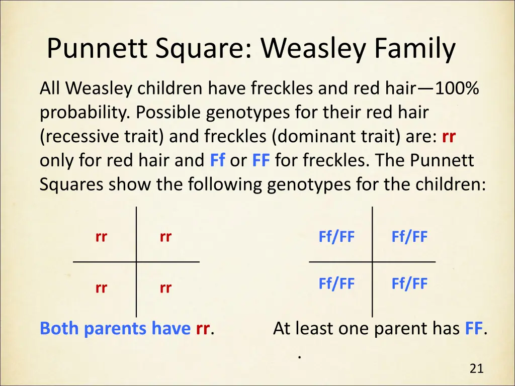 punnett square weasley family 1