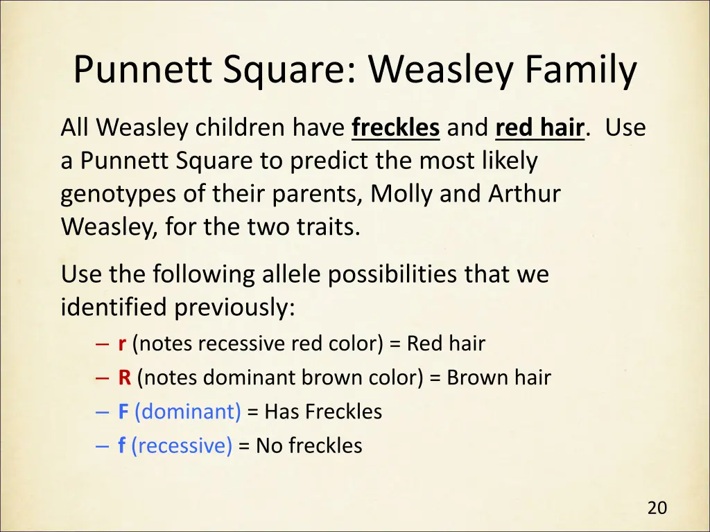 punnett square weasley family