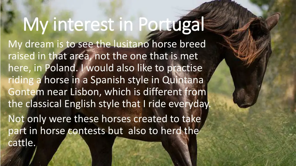 my interest in portugal my interest in portugal