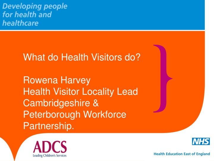 what do health visitors do