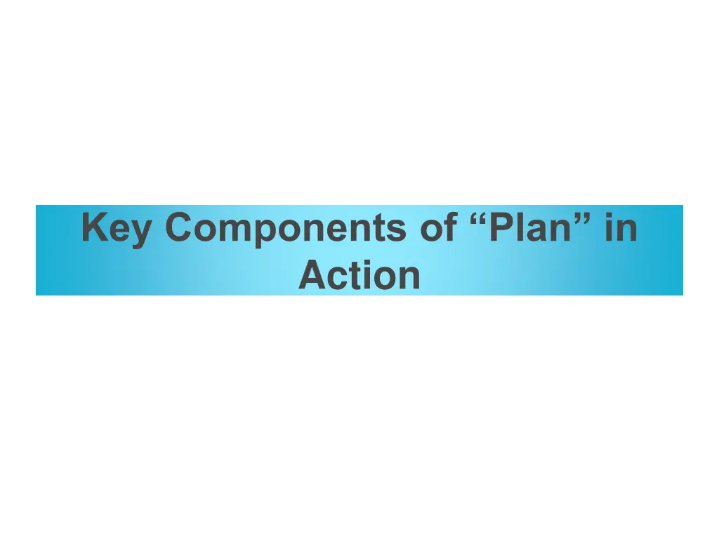 key components of plan in action