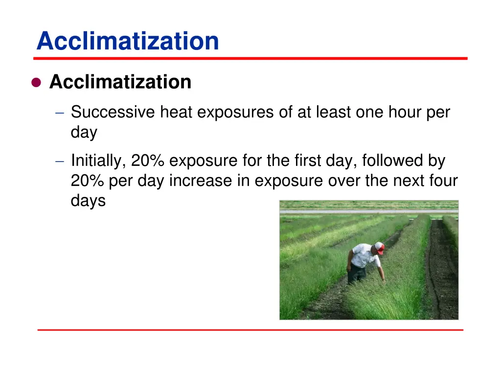 acclimatization