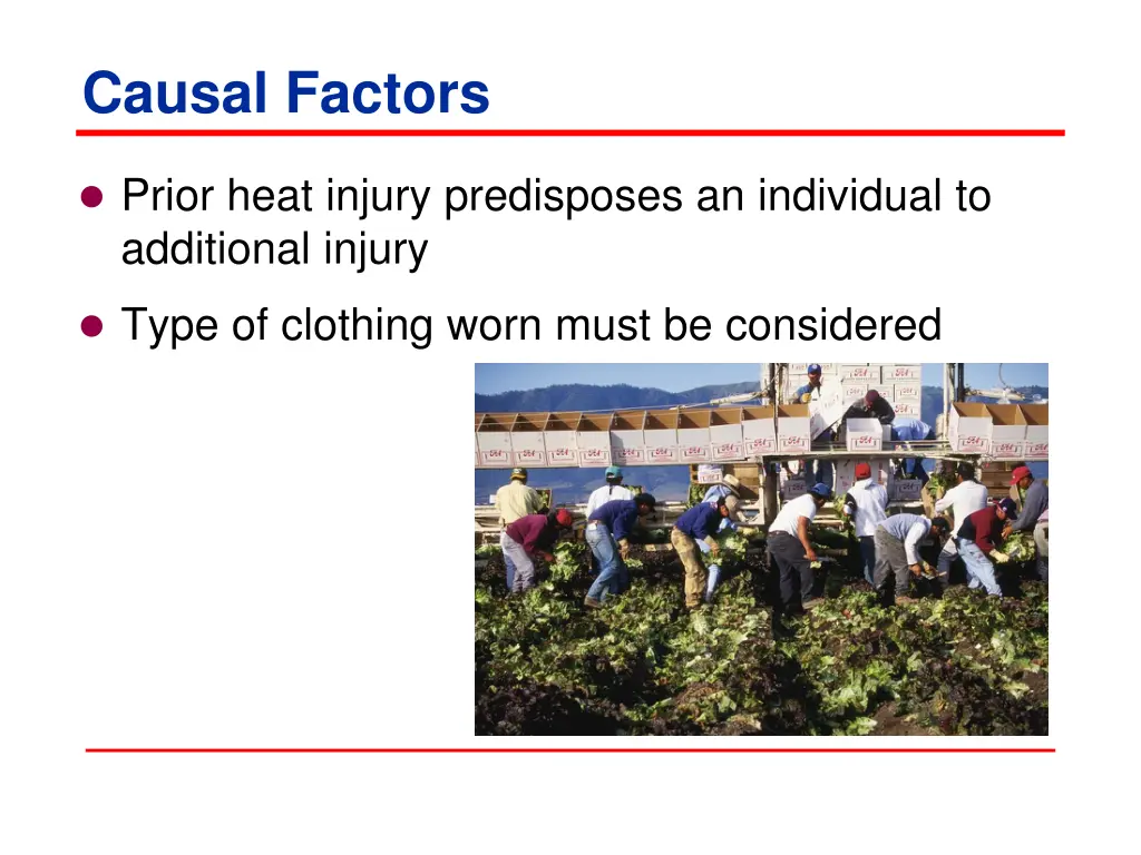 causal factors 1