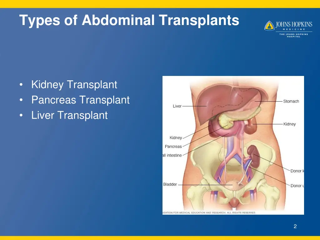 types of abdominal transplants