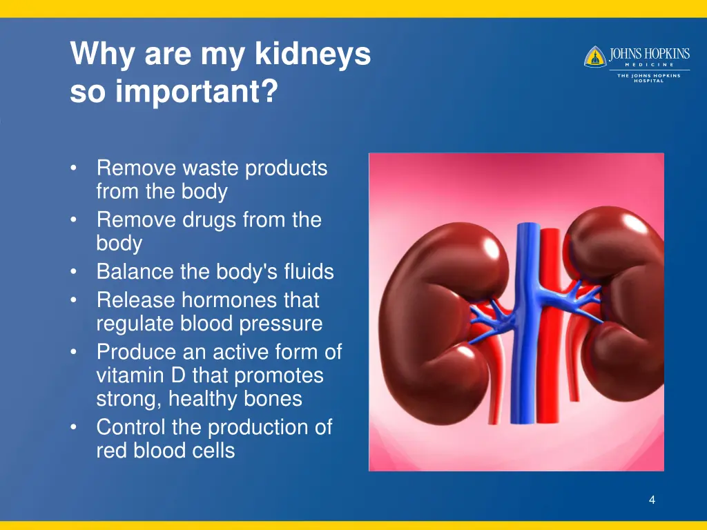 why are my kidneys so important