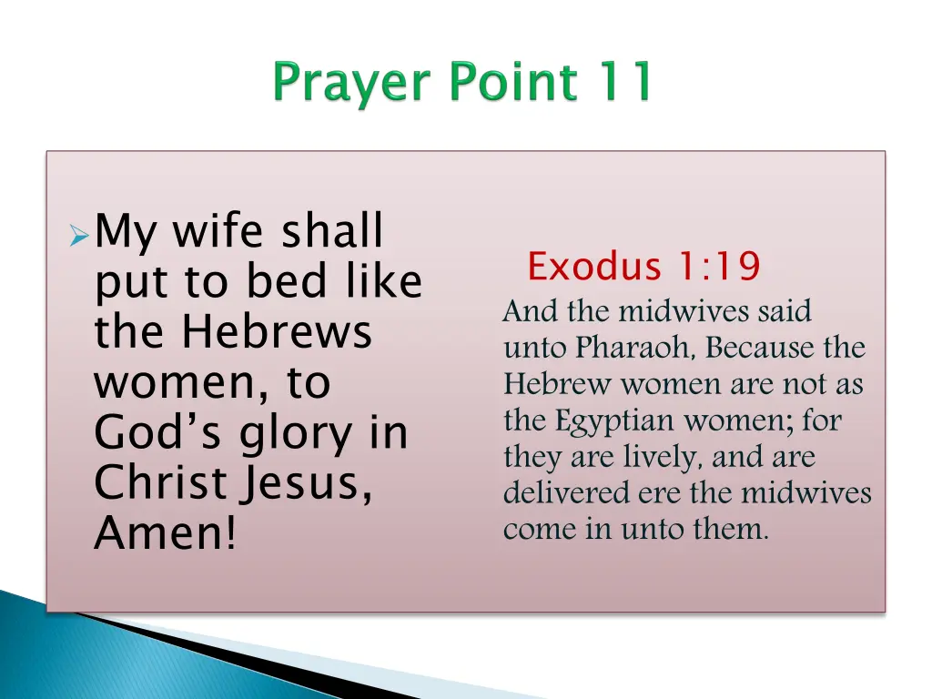 exodus 1 19 and the midwives said unto pharaoh