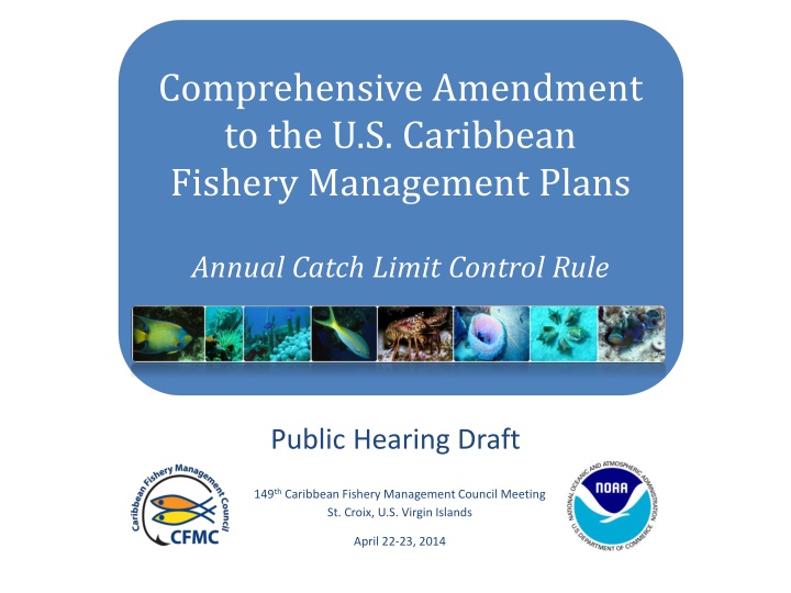 comprehensive amendment to the u s caribbean