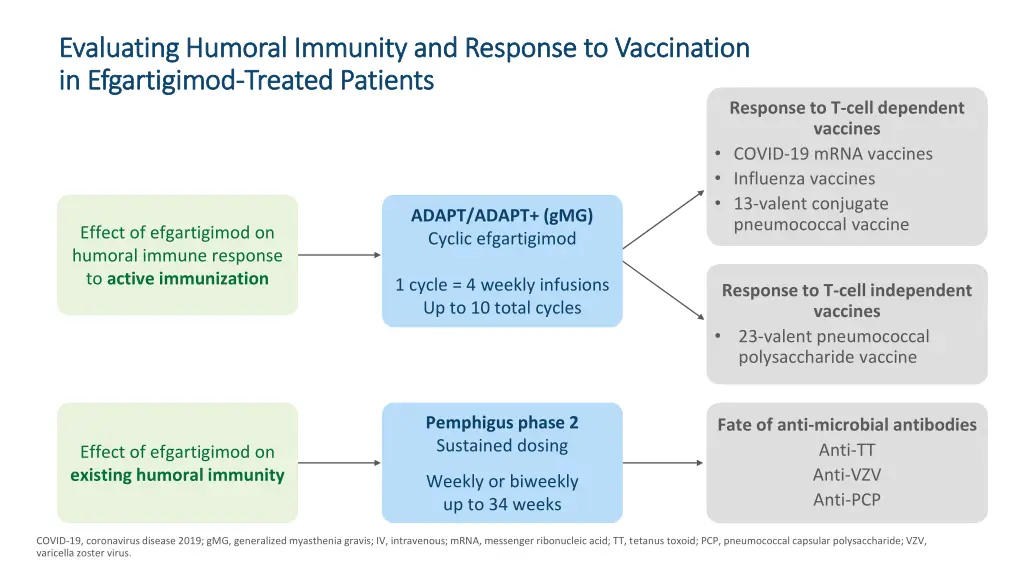 evaluating humoral immunity and response