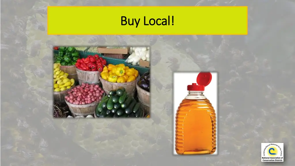 buy local buy local