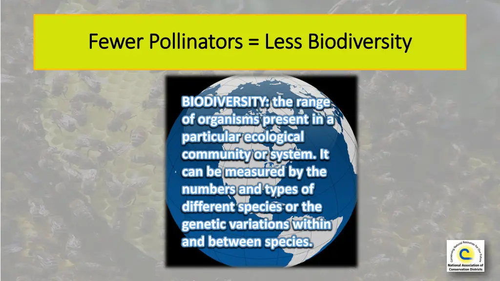 fewer fewer p pollinators ollinators l less