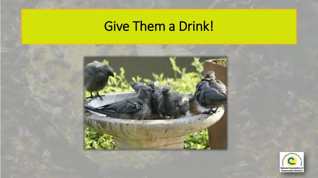 give give them them a a drink