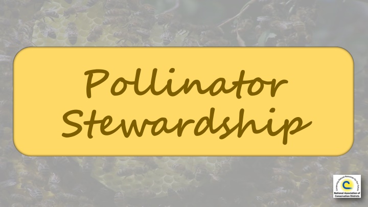 pollinator stewardship