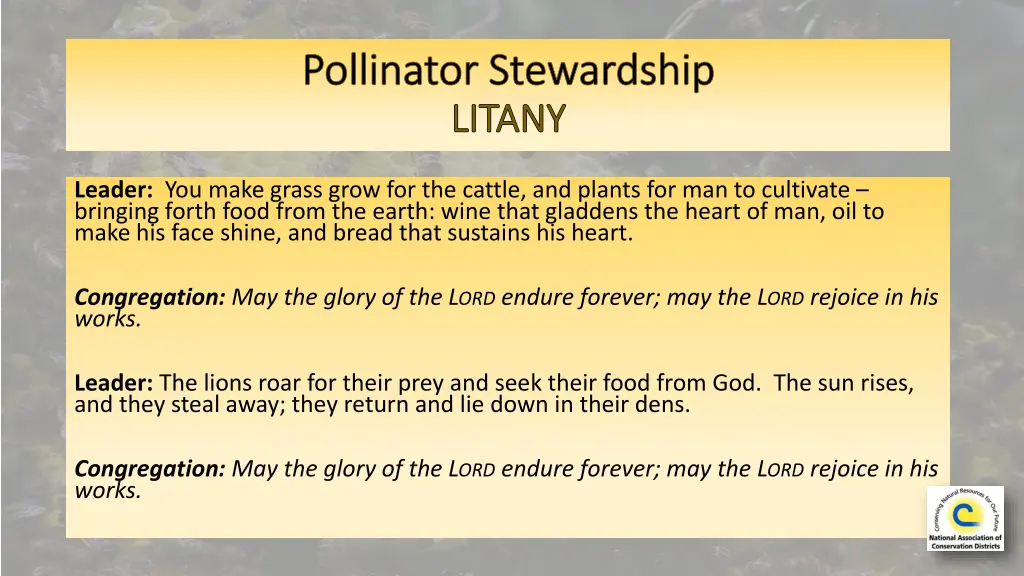 pollinator stewardship pollinator stewardship 2