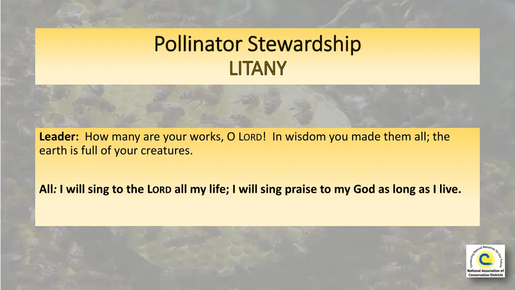 pollinator stewardship pollinator stewardship 3