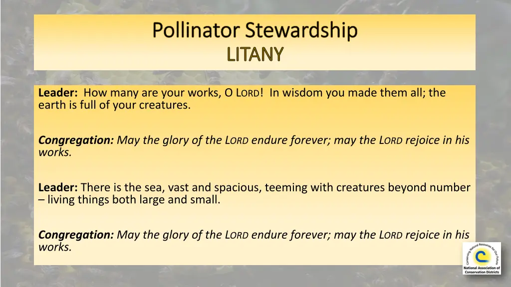 pollinator stewardship pollinator stewardship