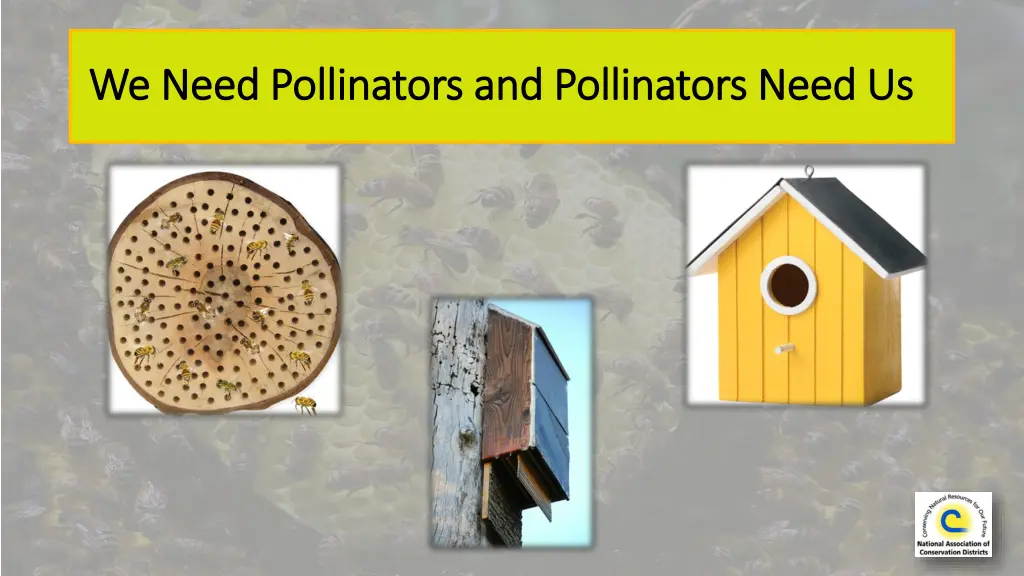 we we need pollinators need pollinators and p