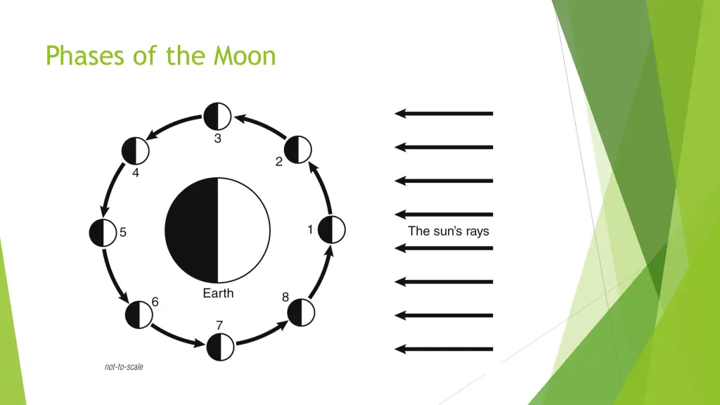 phases of the moon 1