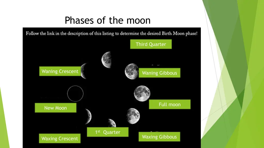 phases of the moon