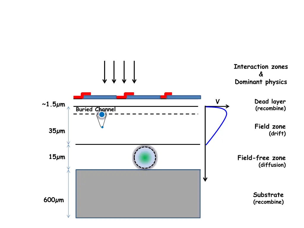 interaction zones dominant physics 1