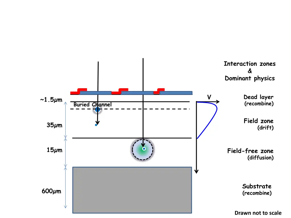 interaction zones dominant physics