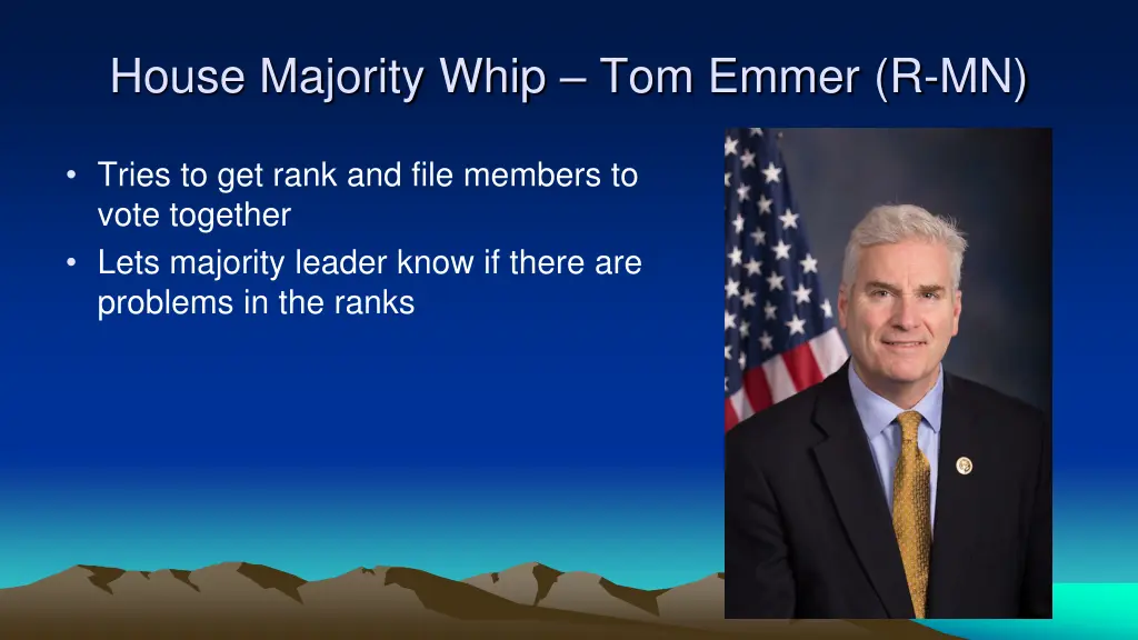 house majority whip tom emmer r mn