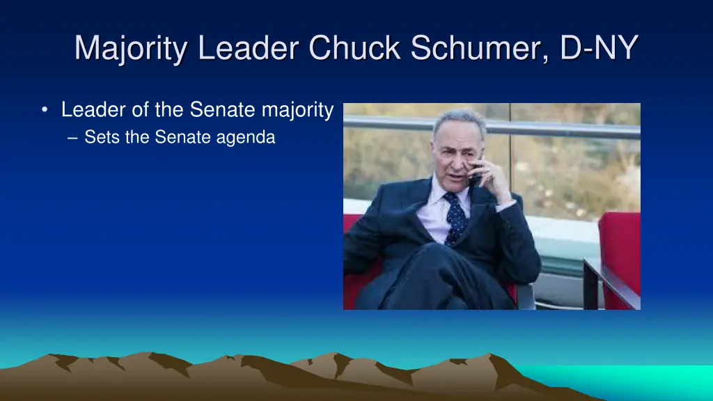 majority leader chuck schumer d ny