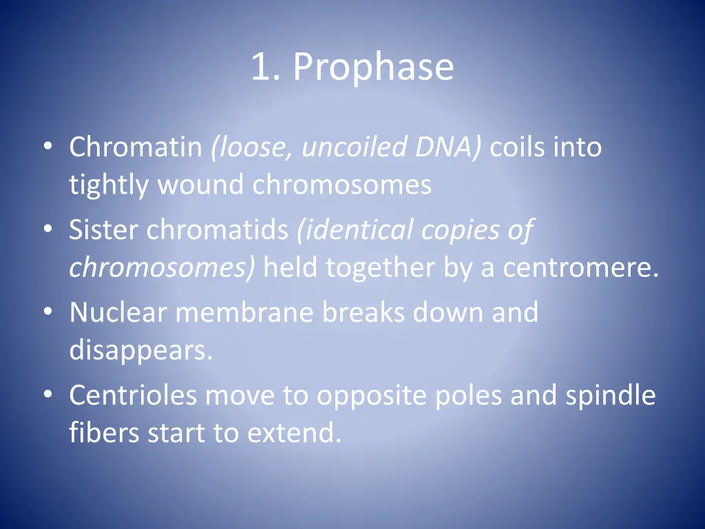 1 prophase