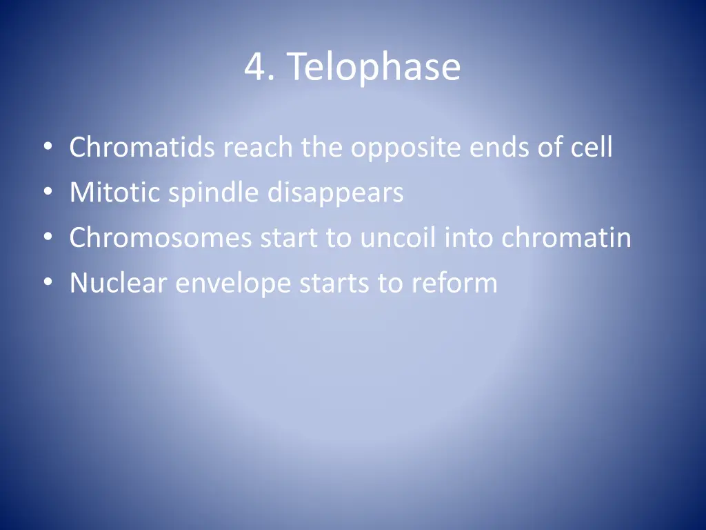 4 telophase