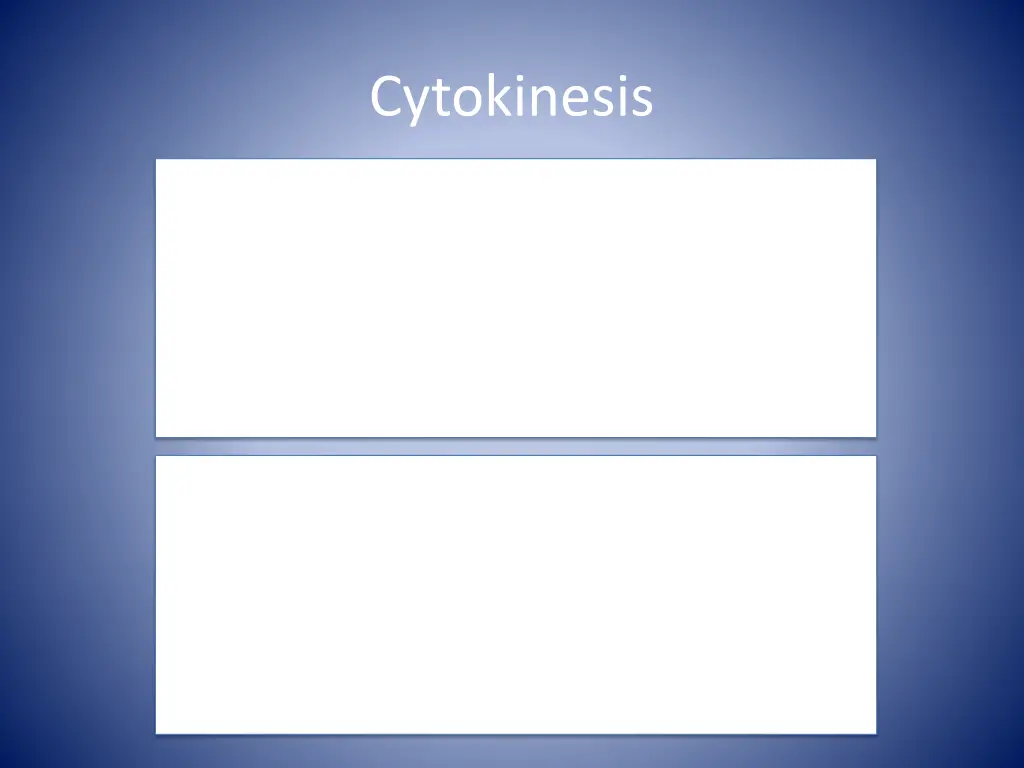 cytokinesis 1