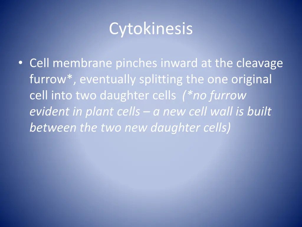 cytokinesis